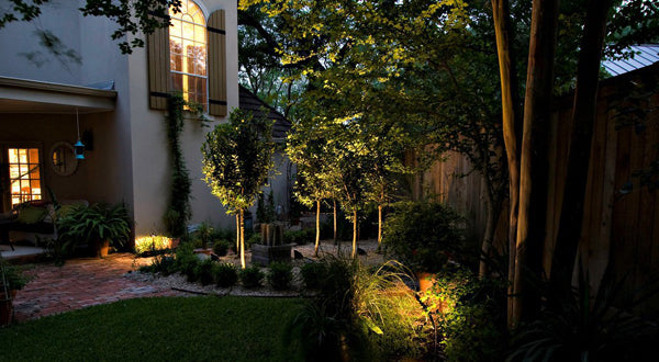 An Expert Guide to Illuminating Your Beautiful Landscaping