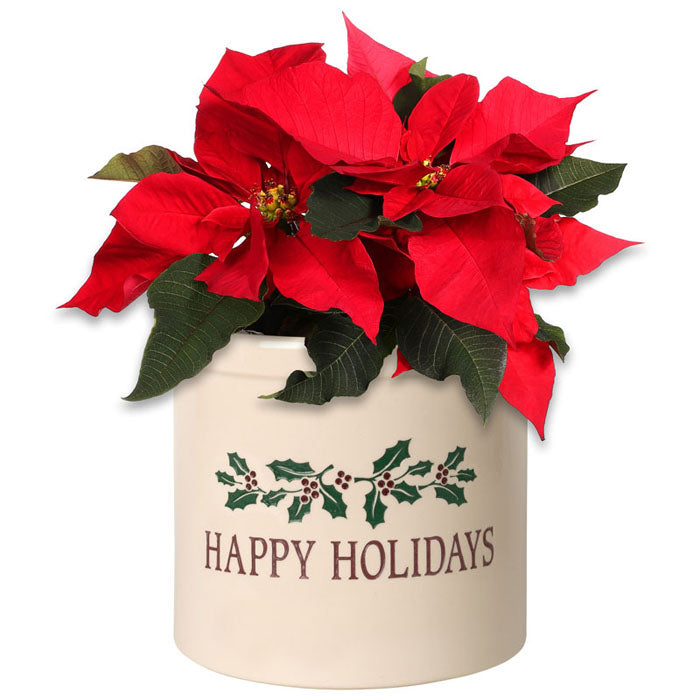 02165 Happy Holidays Holly 2 Gallon Stoneware Crock - Oak Park Home & Hardware