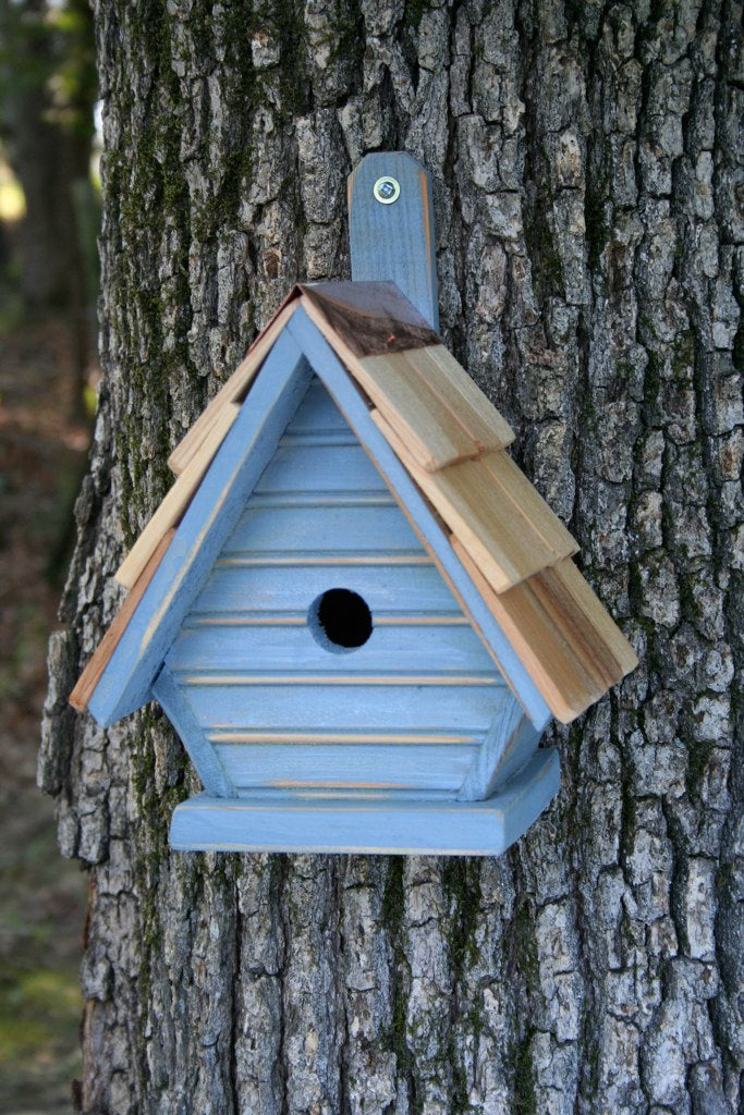 075G Chick Bird House - Blueberry - Oak Park Home & Hardware