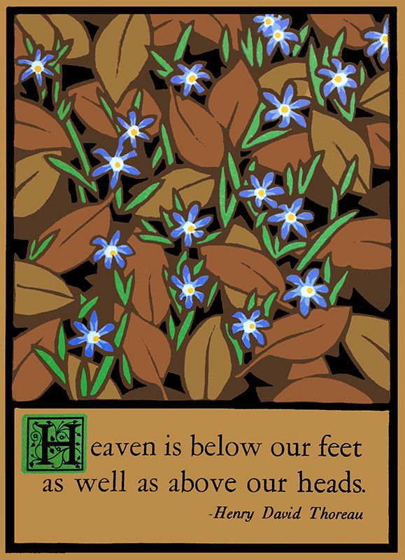 Blue Flowers Matted Print - Oak Park Home & Hardware