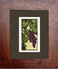 Grape Harvest Framed Note Card - Oak Park Home & Hardware