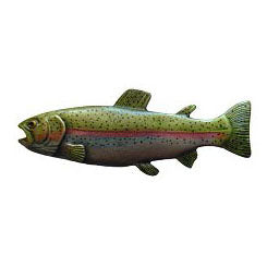 NHK-148-PHT-L Rainbow Trout Knob Hand-tinted Antique Pewter (Left side/faces right) - Oak Park Home & Hardware