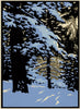 Winter Woods Matted Print - Oak Park Home & Hardware