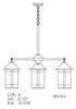8'' berkeley 4 light chandelier - Oak Park Home & Hardware