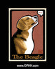 The Beagle - Oak Park Home & Hardware