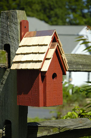 006C Bluebird Manor Bird House - Redwood - Oak Park Home & Hardware