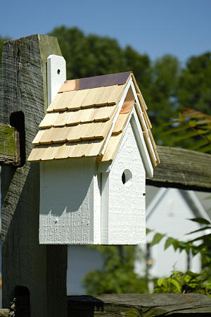 006D Bluebird Manor Bird House - White - Oak Park Home & Hardware