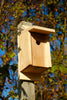135A Eastern Bluebird & Swallow Bird House - Solid Cypress - Oak Park Home & Hardware