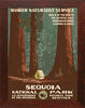 Sequoia National Park Poster - Oak Park Home & Hardware