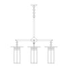 9'' glasgow long body 4 light chandelier - Oak Park Home & Hardware