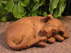 Sleeping Curled Puppy - Oak Park Home & Hardware