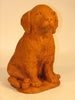 Golden Retriever Puppy - Oak Park Home & Hardware