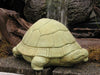 Tortoise Large - Oak Park Home & Hardware