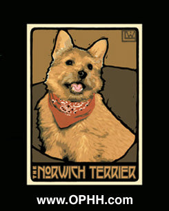 The Norwich Terrier - Gicle'e - Open Edition - Oak Park Home & Hardware