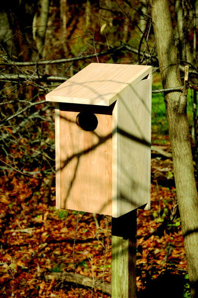 139A Wood Duck Bird House - Solid Cypress - Oak Park Home & Hardware