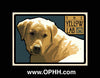 The Yellow Lab - Gicle'e - Open Edition - Oak Park Home & Hardware